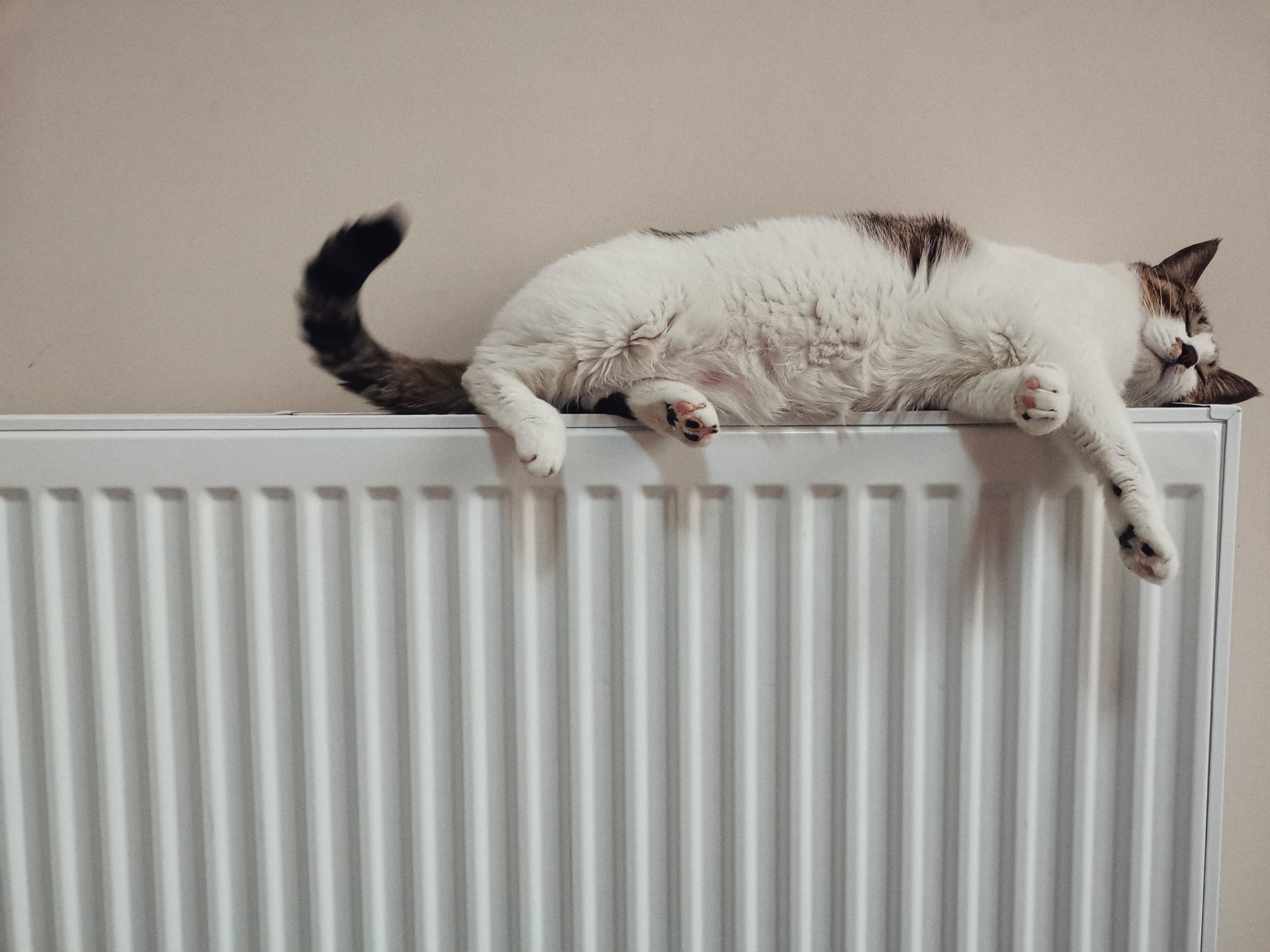 10 simple ways to save money on your energy bills