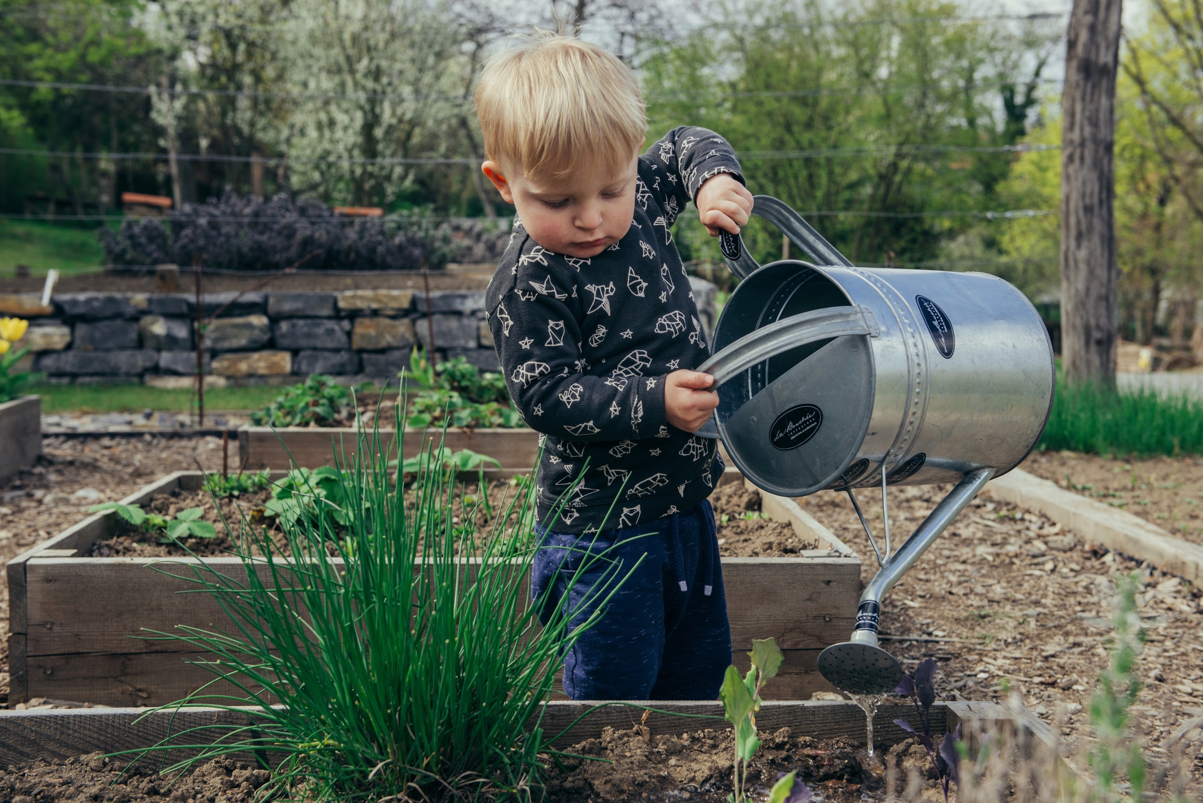 Video: Amazing Gardening Hacks for Everyone