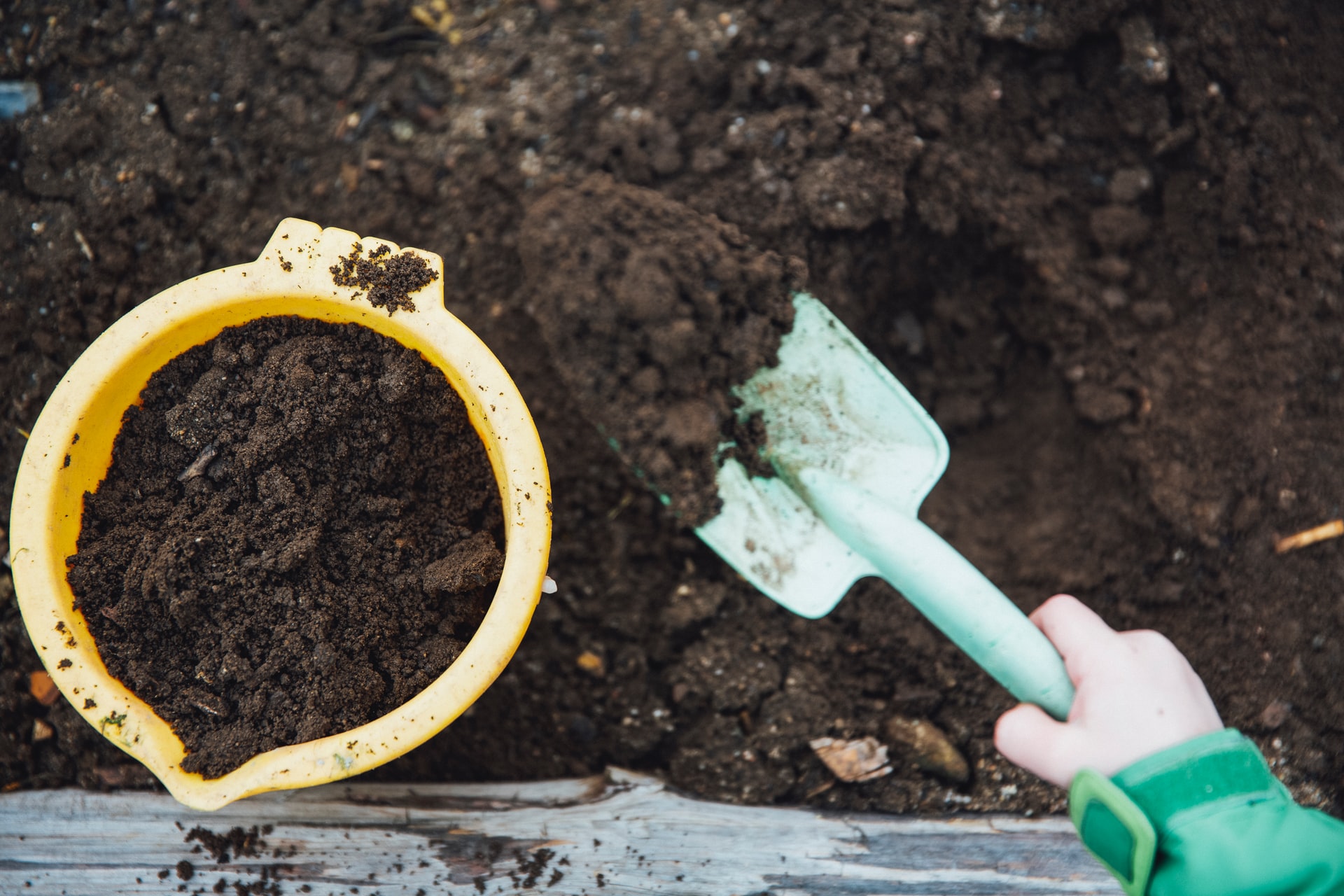 Five great uses for your garden waste if your green bin isn’t being collected